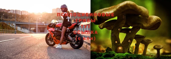 скорость Горнозаводск