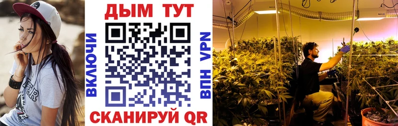 хочу наркоту  Дорогобуж  Конопля ГИДРОПОН 